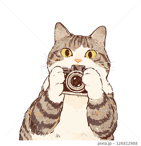 カメラを構える猫 カメラを構える猫 126812988