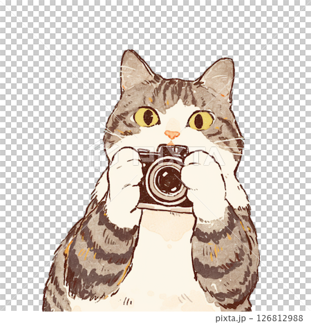カメラを構える猫 カメラを構える猫 126812988
