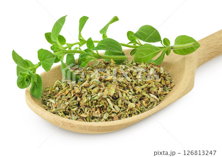 Oregano or marjoram leaves fresh and dry in wooden spoon isolated on white background. Top view. Flat lay. 126813247