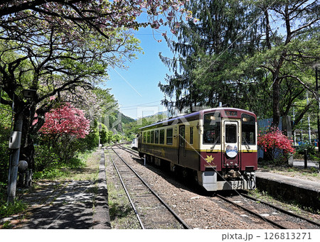 わたらせ渓谷鉄道のディーゼル わたらせ渓谷鉄道のディーゼル 126813271