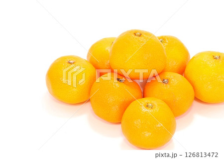有田みかん　複数　和歌山県産　明るい背景 126813472