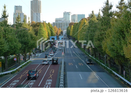 外苑東通りに架かる信濃町歩道橋から望む青山方面 126813616