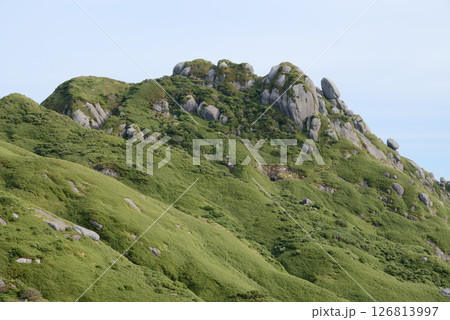 屋久島、永田岳中腹から望むネマチ 126813997