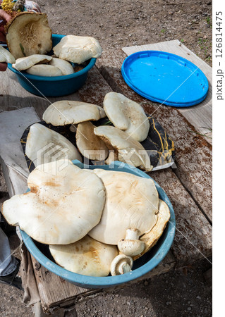 fresh wild mushrooms sold on wooden stall roadside 126814475