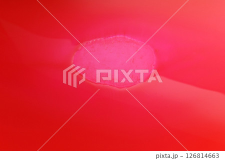 背景素材 抽象素材 抽象背景 背景素材 抽象素材 抽象背景 126814663