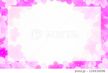 花のフレーム 126816096