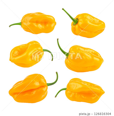 Collection of Vibrant Yellow Habanero Peppers 126816304