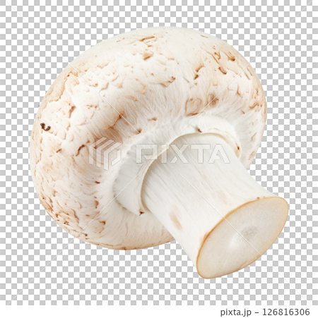 Fresh White Button Mushroom 126816306