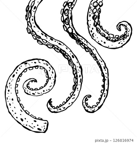 Four black and white octopus tentacles 126816974