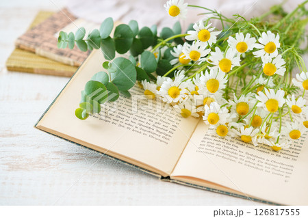 洋書の上に置かれたカモミールとユーカリ 126817555