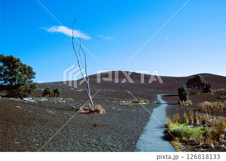 ハワイ島　ハワイ火山国立公園　デバステーショントレイル 126818133