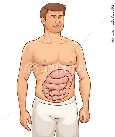 visual anatomy of fat accumulation in abdomen, educational diagram style visual anatomy of fat accumulation in abdomen, educational diagram style 126819662