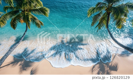 beach holiday background seascape with clear water palm shadows and white sand 126820129