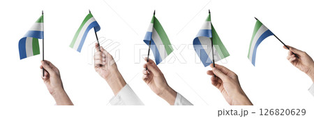 The Sierra Leone flag in hand in different angles on a white background 126820629