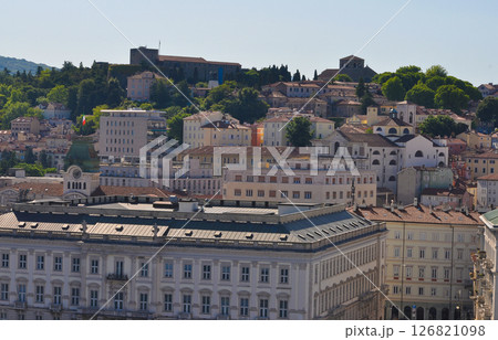 Trieste marina aerial view from from cruise ship. 126821098