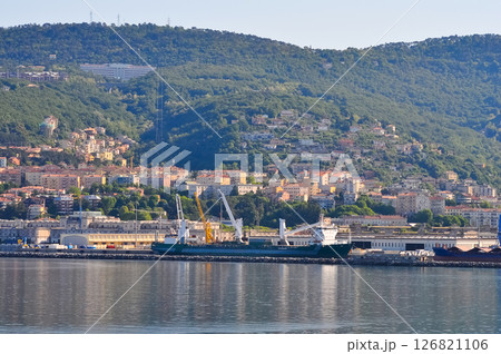 Trieste marina aerial view from from cruise ship. 126821106