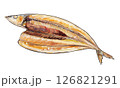 秋刀魚の開き 水彩風イラスト 126821291