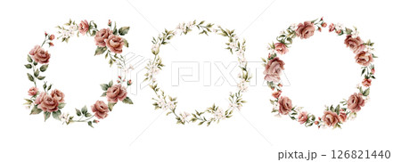 Rose flower wreath set. Dusty pink garden flowers round arrangements. Watercolor hand painted floral isolated illustration for wedding design, textile, porcelain crockery, cosmetic package, labels Rose flower wreath set. Dusty pink garden flowers round arrangements. Watercolor hand painted floral isolated illustration for wedding design, textile, porcelain crockery, cosmetic package, labels 126821440