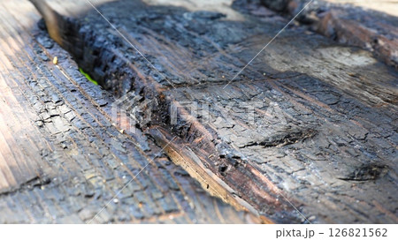 Burnt wooden surface made of planks 126821562