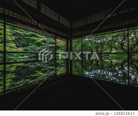 瑠璃光院 瑠璃光院 126821613