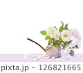 ブリキのじょうろに活けた白い薔薇の透過フレーム 126821665