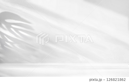 Elegant and Soft plants Shadows on a White Background 126821862