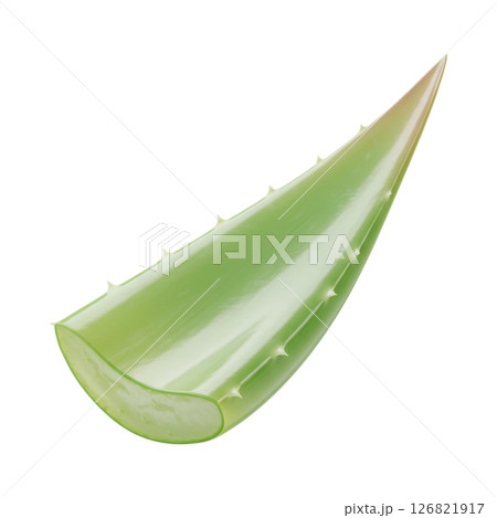Fresh Green Aloe Vera Leaf Cut for Natural Skincare and Health Products 126821917