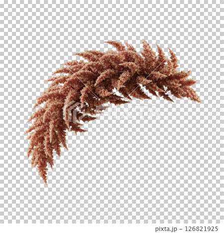 Textured Dried Amaranth Stalk for Floral Design 126821925