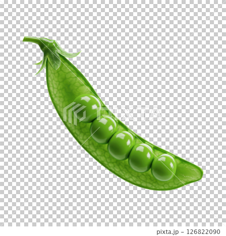 Fresh Green Snow Pea Pod with Exposed Peas Fresh Green Snow Pea Pod with Exposed Peas 126822090
