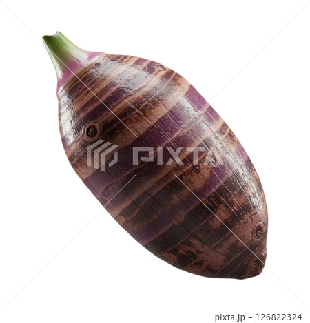 Taro Root Vegetable with Distinctive Striped Skin and Green Stem 126822324