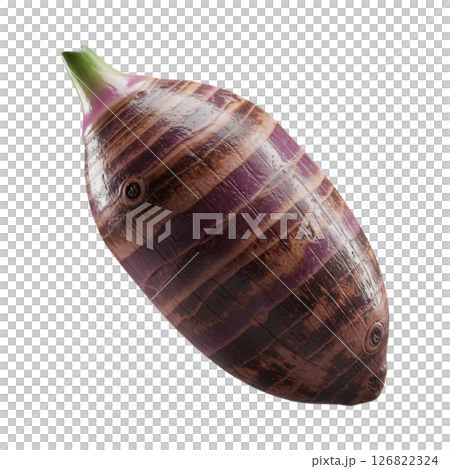 Taro Root Vegetable with Distinctive Striped Skin and Green Stem 126822324