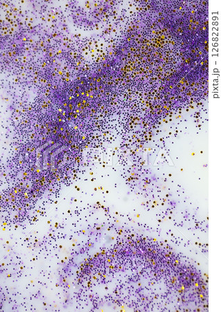 Festive or glamorous background. Gold and purple sparkles scattered on a white background. Festive or glamorous background. Gold and purple sparkles scattered on a white background. 126822891