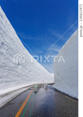 アルペンルート　雪の大谷　2025/5/5撮影 126822971