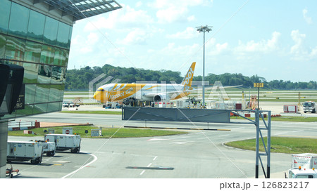 Singapore, Singapore, April 14, 2015: Scoot Boeing 787 at Airport Terminal 126823217