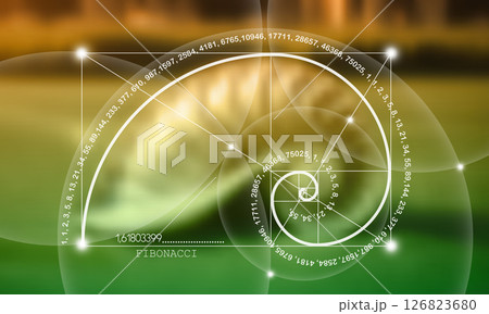 Fibonacci number sequence. Nautilus Seashell section. Snail spiral. Golden ratio. Geometric shapes spiral. Sacred geometry template. Logarithmic sequences. Vector Blurred natural background 126823680