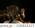 Close up of robber fly (Asilidae) on black background, Macro shot of robber fly on a plant. Macro photography. 126824325