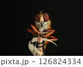Close up of robber fly (Asilidae) on black background, Macro shot of robber fly on a plant. Macro photography. 126824334