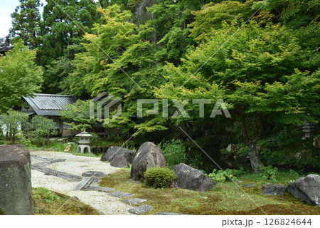 南禅寺庭園 龍吟庭と涵龍池(京都市左京区) 南禅寺庭園 龍吟庭と涵龍池(京都市左京区) 126824644