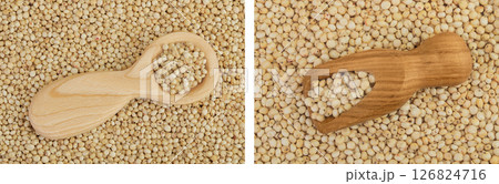 background of sorghum seeds with wooden spoon. Top view. Flat lay. 126824716