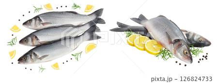 Sea bass fich isolated on white background . Top view. Flat lay 126824733