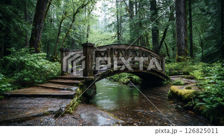 A Weathered Wooden Bridge Arching Over the Forest River. A Weathered Wooden Bridge Arching Over the Forest River. 126825011