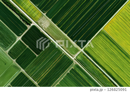 Orbital Crop Monitoring High-Resolution Agricultural Data. 126825091