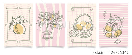 Collection of hand drawn lemon themed botanical illustrations for cards and posters. Mediterranean set. Sketch illustration. 126825347