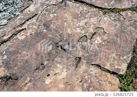 Petroglyphs at Kalbak-Tash rock art complex Altai Russia. Ancient carvings showcasing prehistoric cultural heritage. 126825725