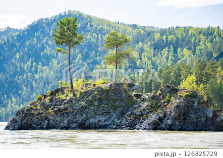 Bear Island located on Katun river in Altai Russia. Scenic river island surrounded by mountain waters and natural landscape. 126825729