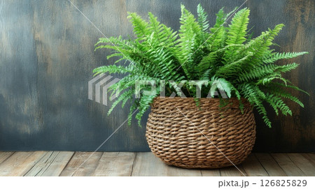 Lush Green Fern in Wicker Basket Against Rustic Wooden Background 126825829