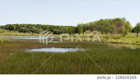 Small lake with marshy shores 126826168