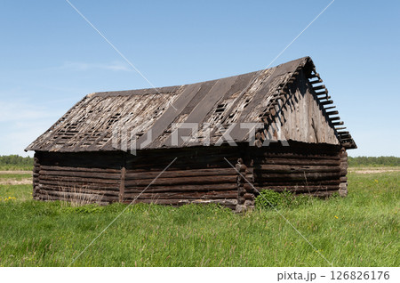 Old log barn among green grass Old log barn among green grass 126826176