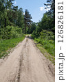 Dirt road in summer forest 126826181