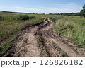 Wet dirt road in green meadow 126826182